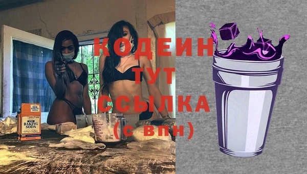 МДПВ Елизово