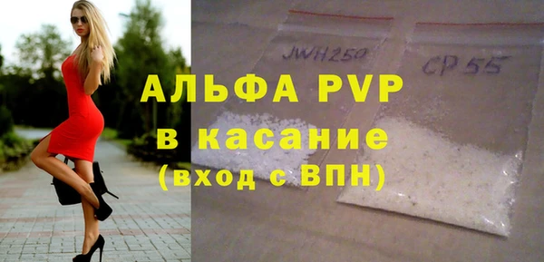 прущие грибы Елабуга