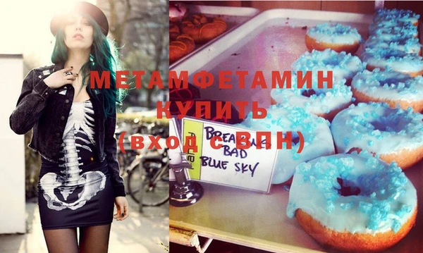 прущие грибы Елабуга