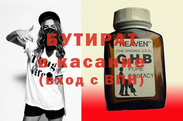 прущие грибы Елабуга