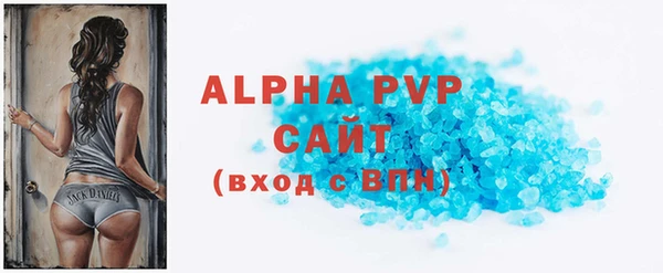 прущие грибы Елабуга