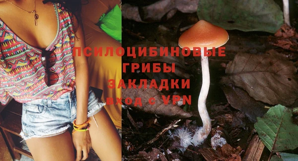 героин Ельня