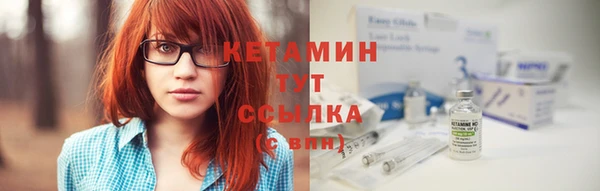 прущие грибы Елабуга