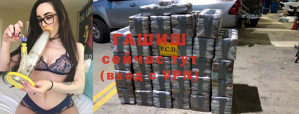 прущие грибы Елабуга