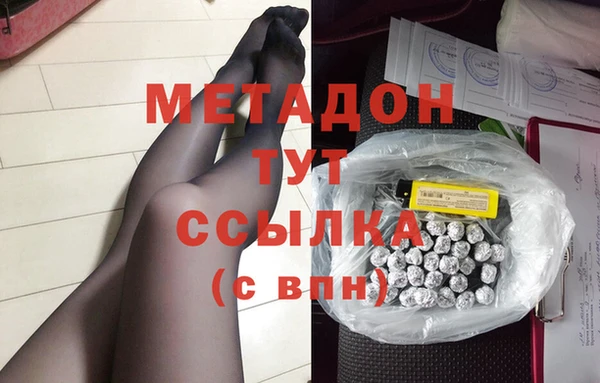 прущие грибы Елабуга