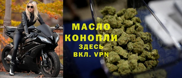 прущие грибы Елабуга