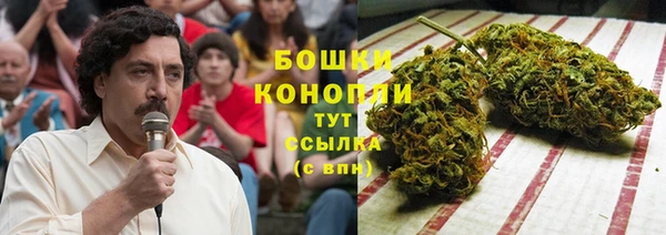 МДПВ Елизово