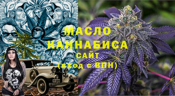 прущие грибы Елабуга