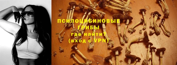 героин Ельня