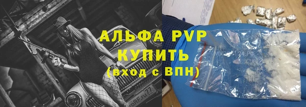 прущие грибы Елабуга