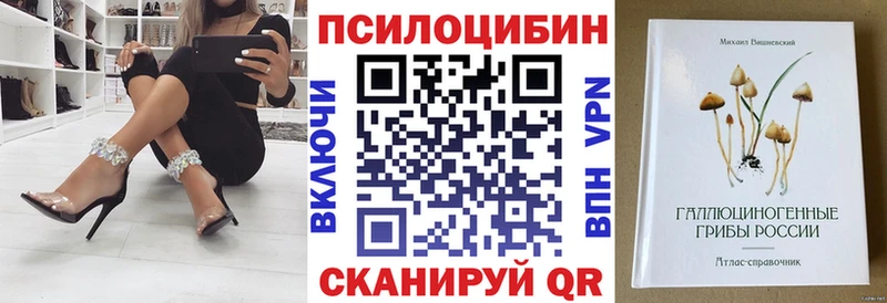 Купить где  Кашин  Псилоцибиновые грибы Psilocybine cubensis 